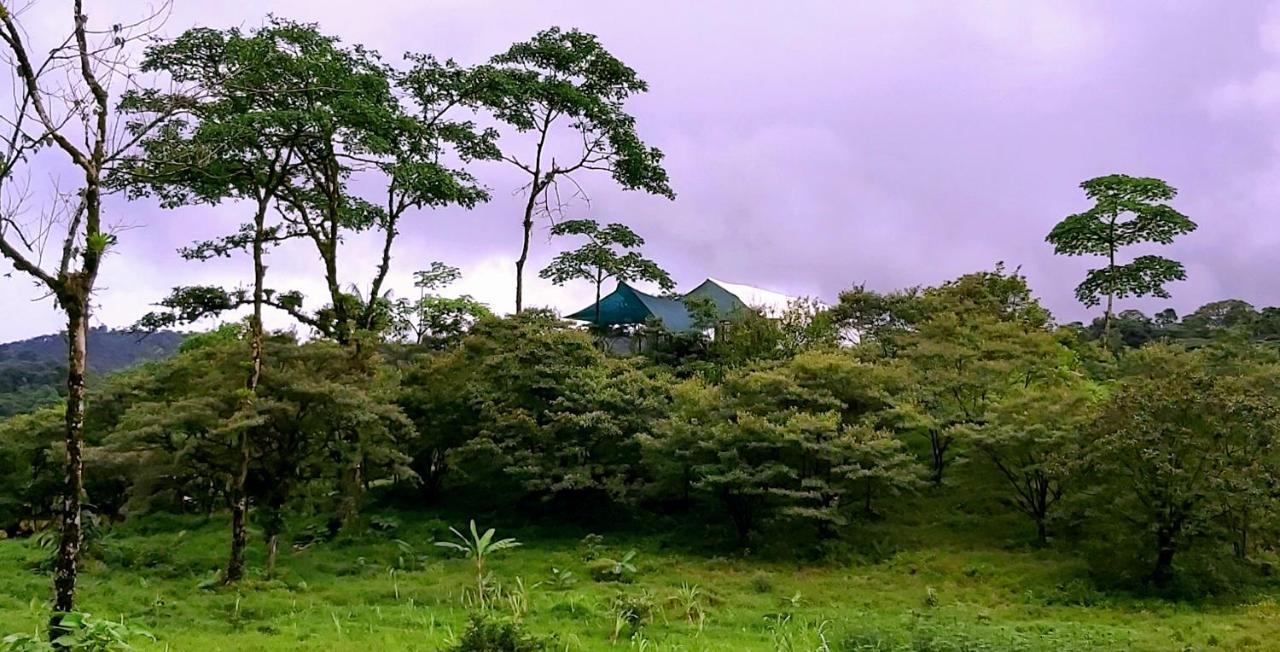 Garza Del Sol Glamping Rio Celeste Buganvilia Exterior photo